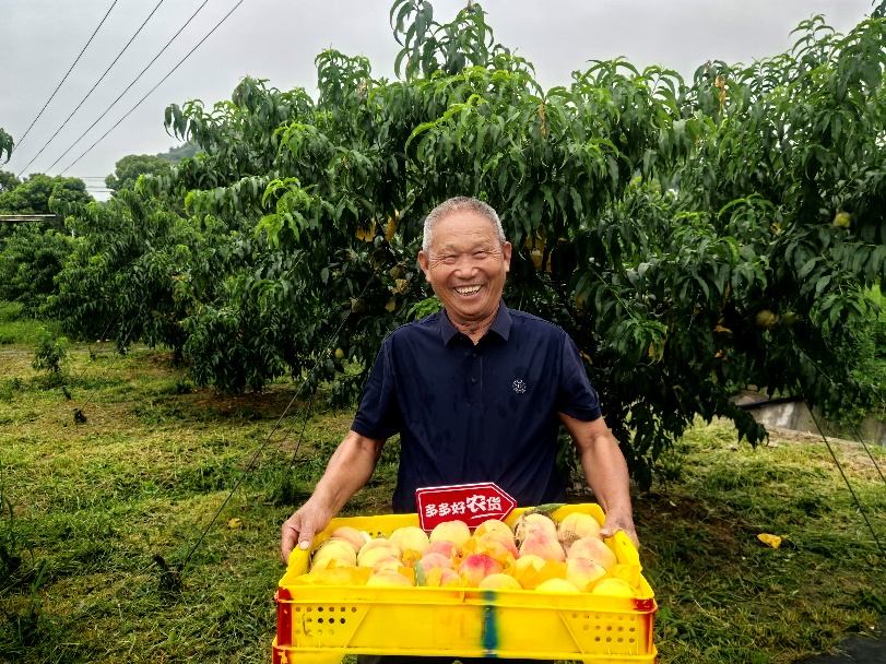 拼多多发布q2财报，陈磊：坚定走高质量发展道路，投入百亿扶持新质商家